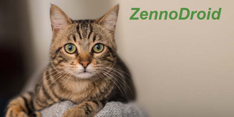 Добавить в проект