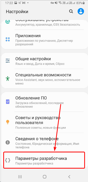 Параметры разработчика